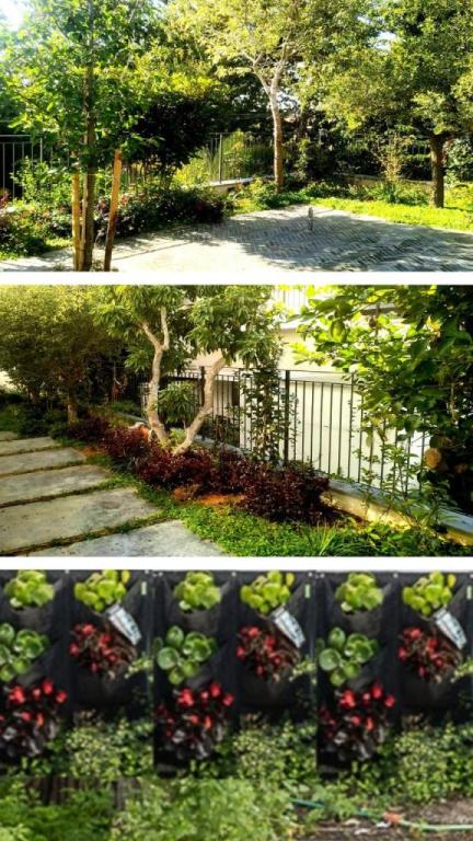 נטלי בדוש נטלי בדוש