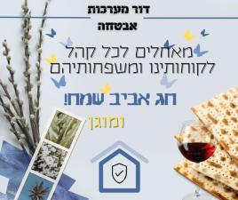 דור מערכות אבטחה ומיגון