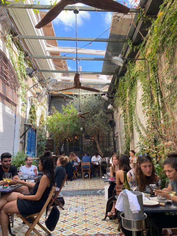 הגפן. חצר יין מקומי. הגפן. חצר יין מקומי.