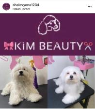 Kim Beauty
