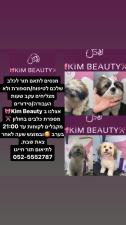 Kim Beauty