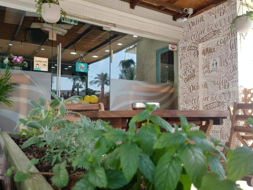 דזרט אנד סי קפה דזרט אנד סי קפה