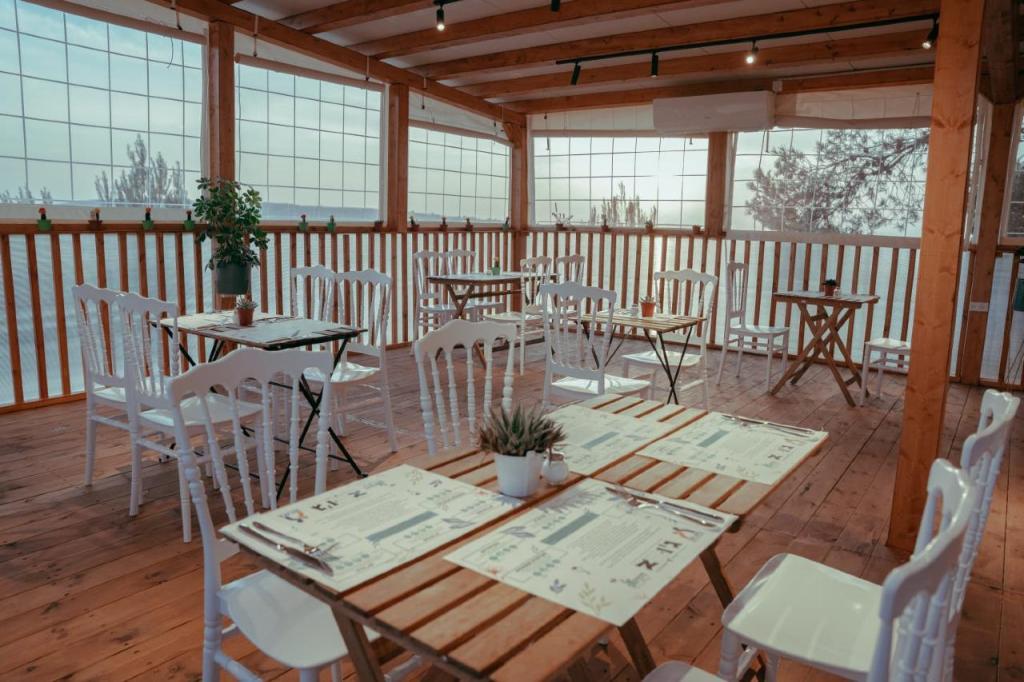 מלכה בהובלות מלכה בהובלות