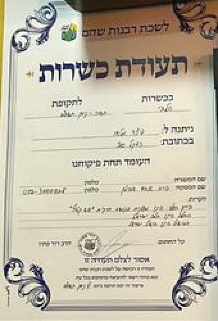 פיצה מטאו פיצה מטאו