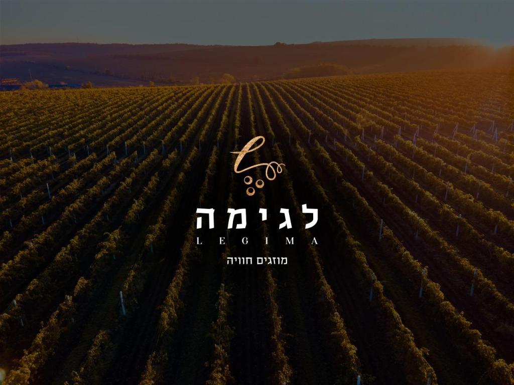 לגימה יין ואלכוהול לגימה יין ואלכוהול