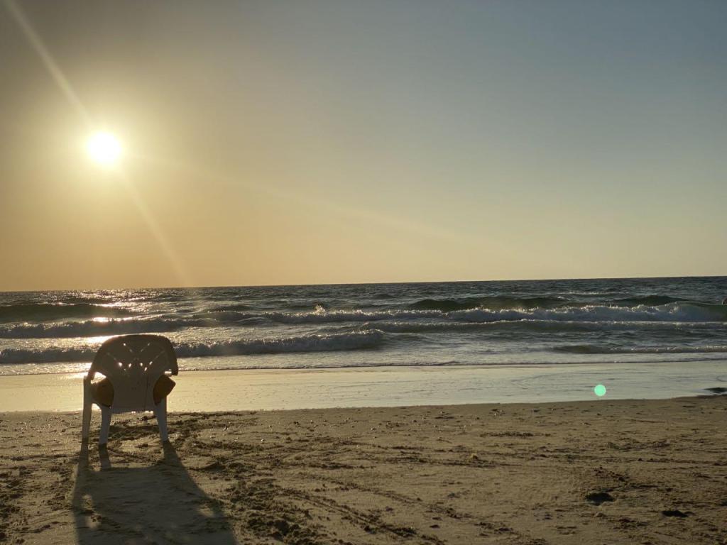 דוריטו בית ספר לגלישה דוריטו בית ספר לגלישה