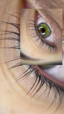 VT Brows & Lashes