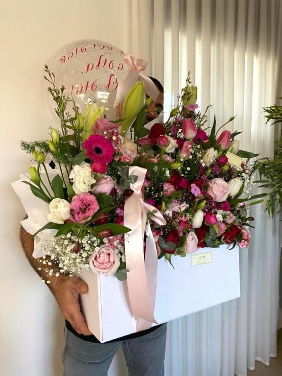 יוניזר יוניזר