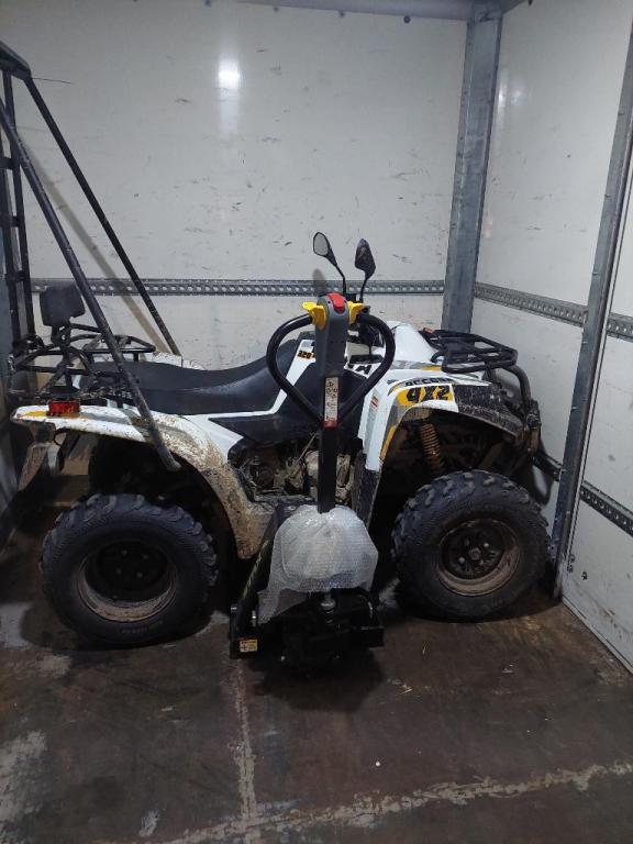 מיכאל הובלה והפצה מיכאל הובלה והפצה