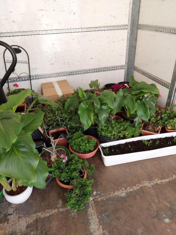 מיכאל הובלה והפצה מיכאל הובלה והפצה