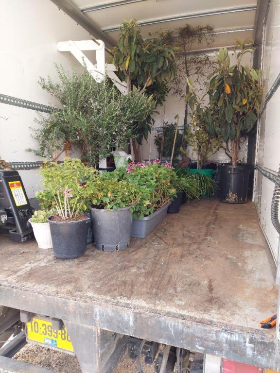 מיכאל הובלה והפצה מיכאל הובלה והפצה