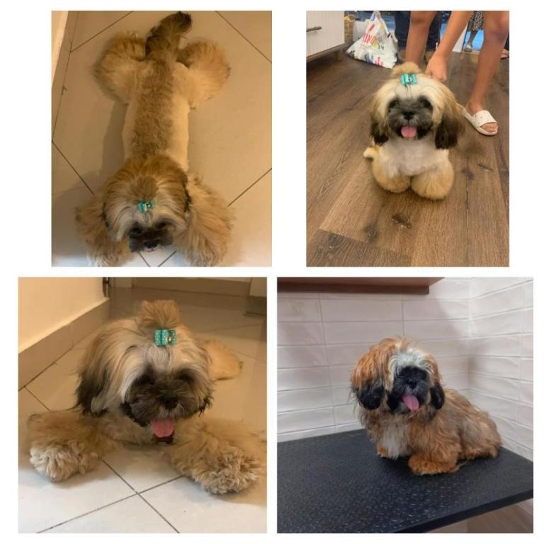 How i look How i look