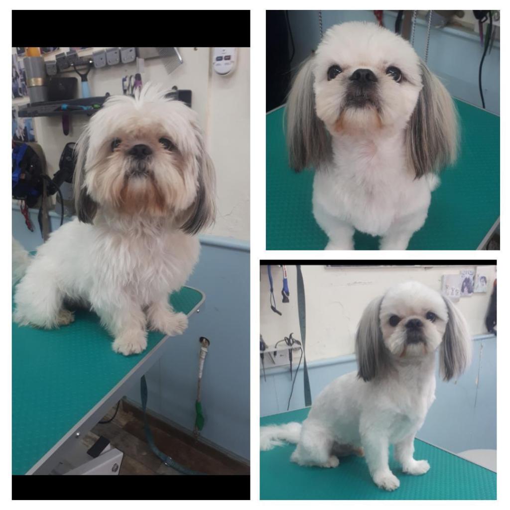 How i look How i look