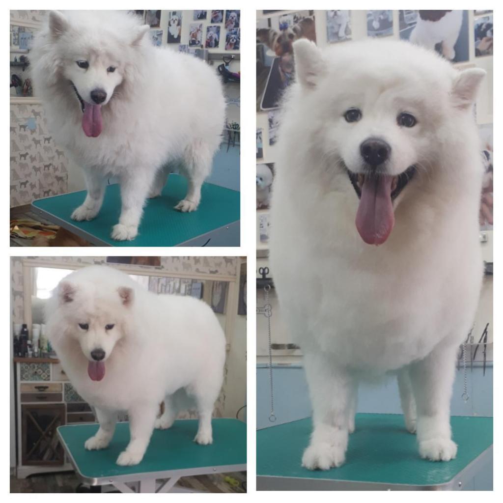 How i look How i look