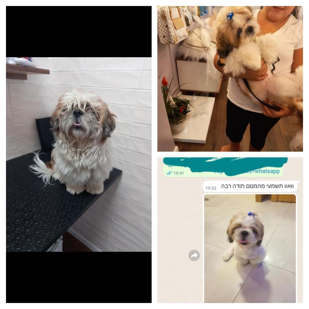 How i look How i look