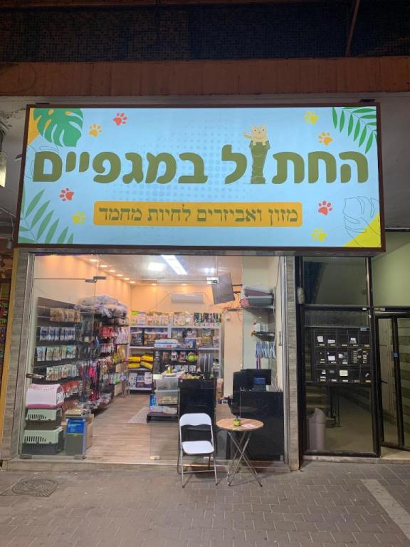 החתול במגפיים החתול במגפיים