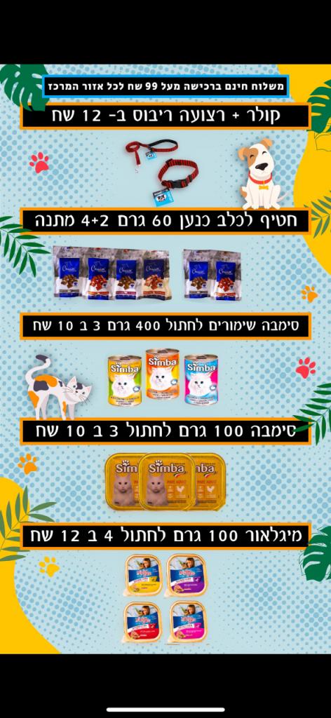 החתול במגפיים החתול במגפיים