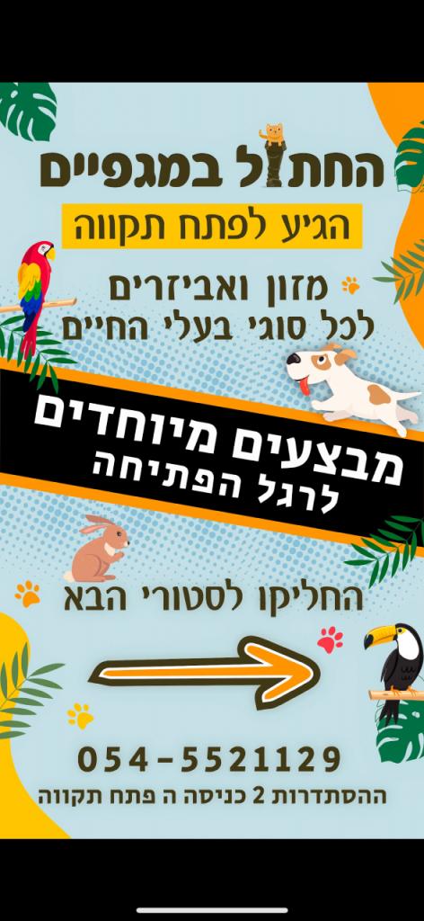 החתול במגפיים החתול במגפיים