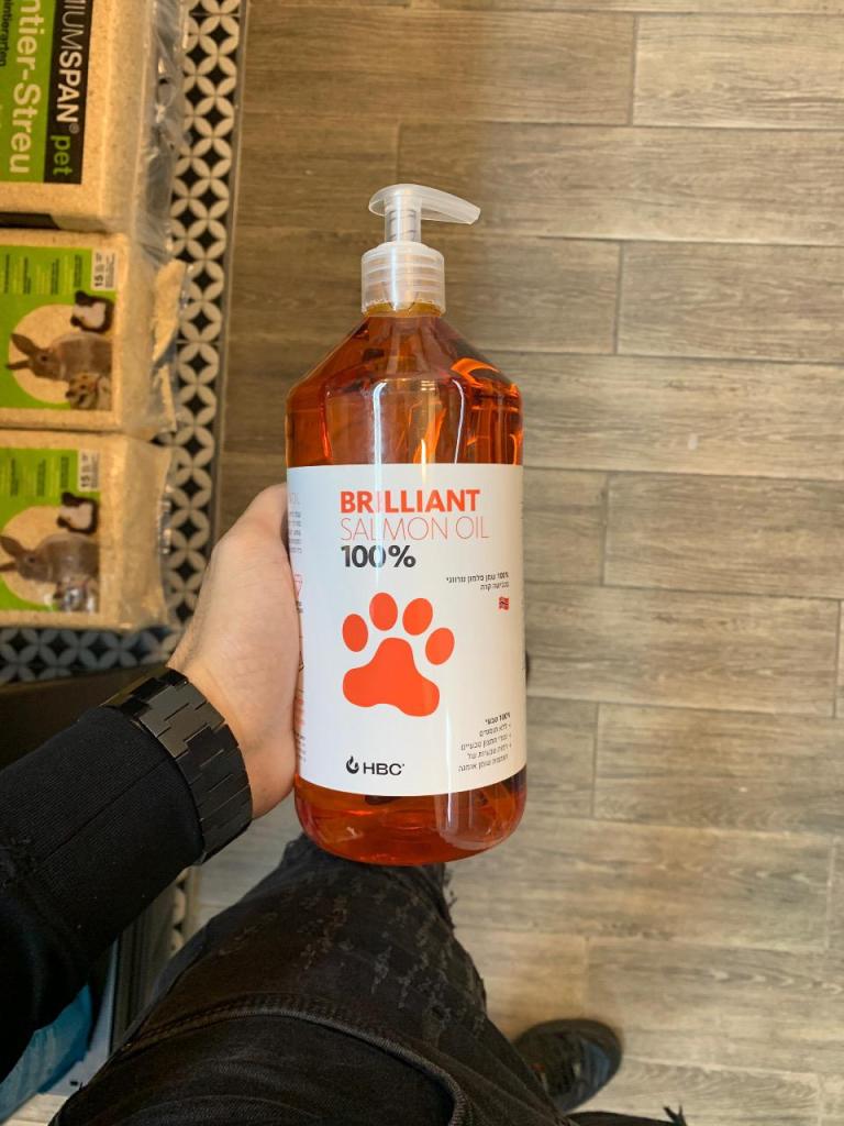 החתול במגפיים החתול במגפיים