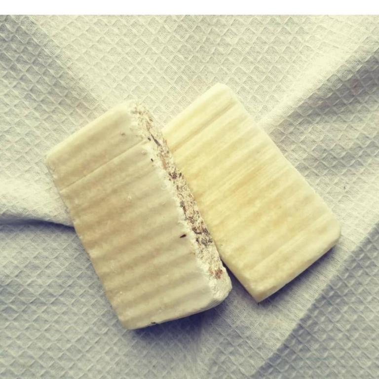 חן הרוש חן הרוש