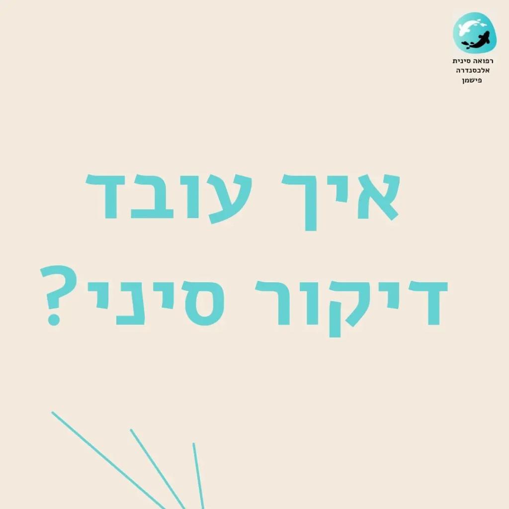 אלכסנדרה פישמן אלכסנדרה פישמן