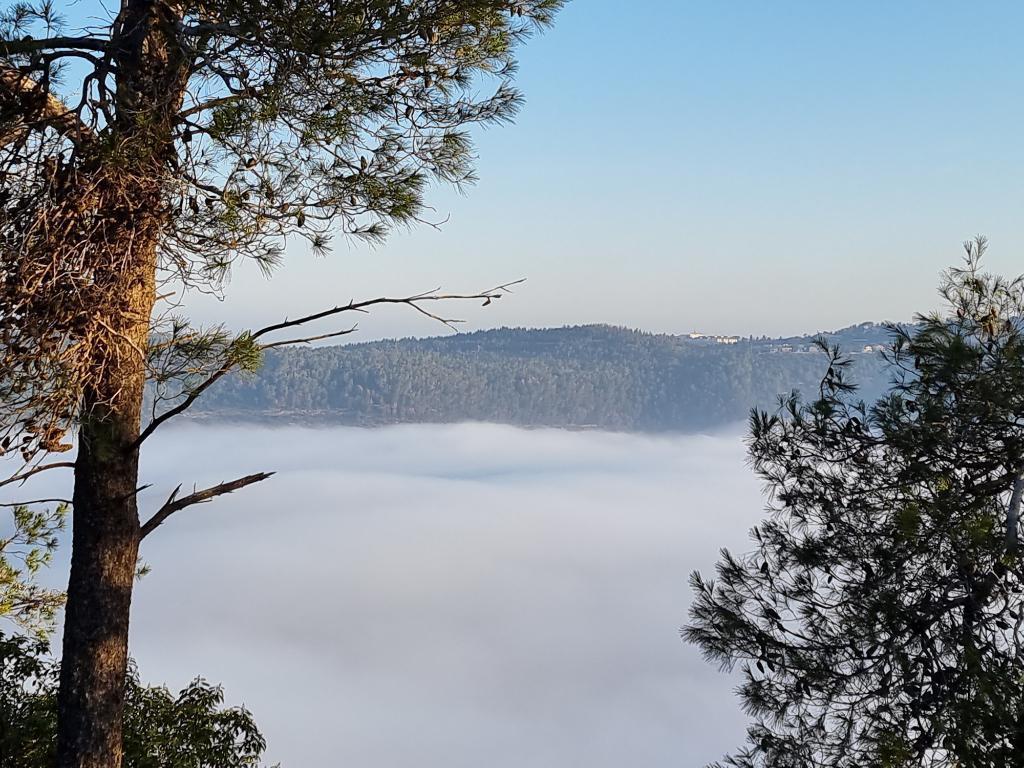 קפה בהר קפה בהר