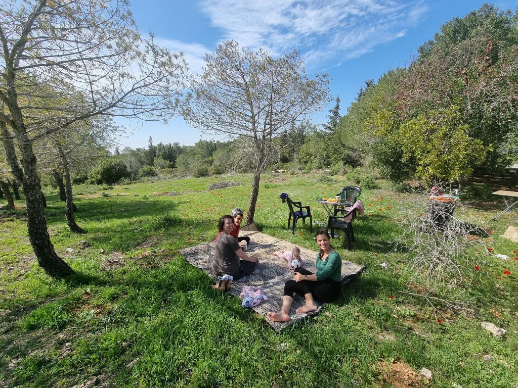 קפה בהר קפה בהר