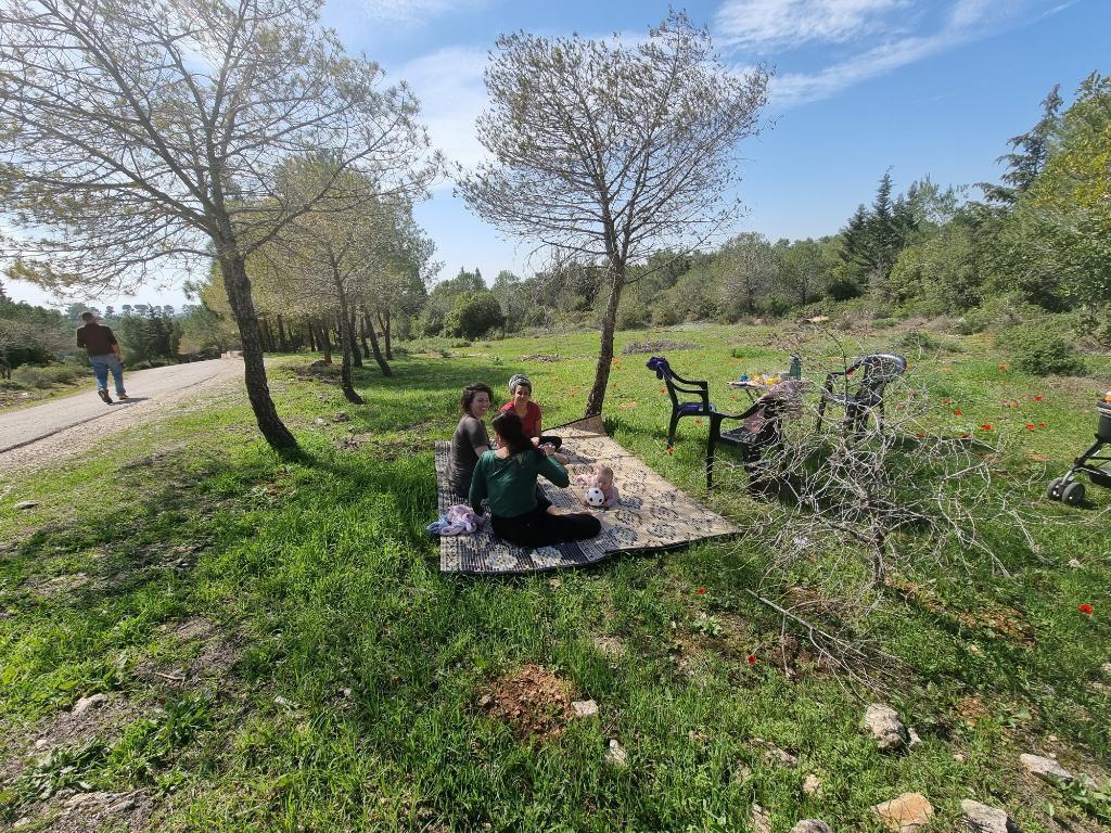 קפה בהר קפה בהר