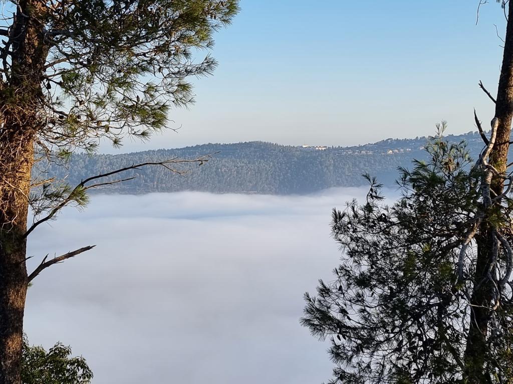 קפה בהר קפה בהר