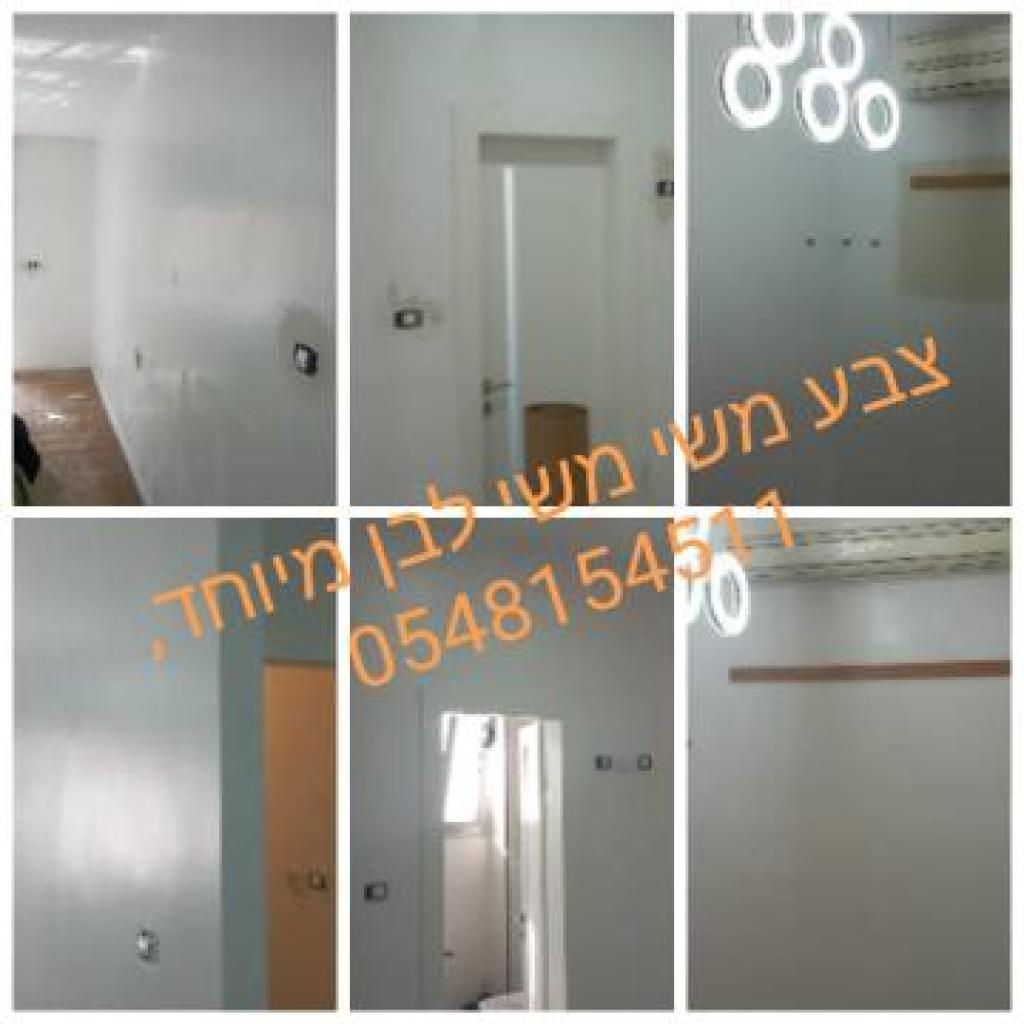 מאיר אומידי צבע ושפכטל מאיר אומידי צבע ושפכטל