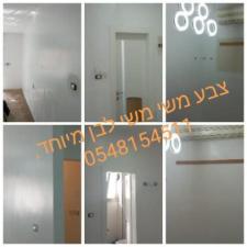 מאיר אומידי צבע ושפכטל