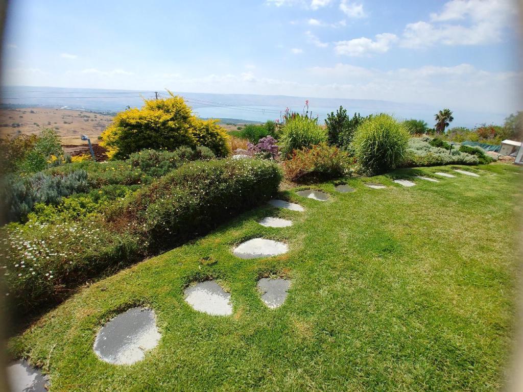 אורן תכנון ועיצוב גינות אורן תכנון ועיצוב גינות