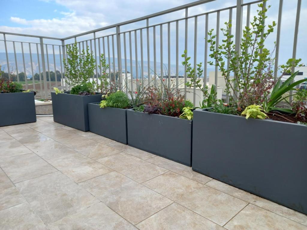 אורן תכנון ועיצוב גינות אורן תכנון ועיצוב גינות