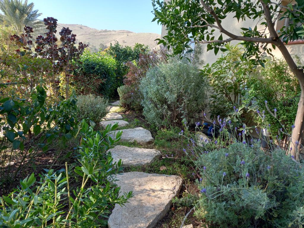 אורן תכנון ועיצוב גינות אורן תכנון ועיצוב גינות