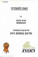אביב מימון