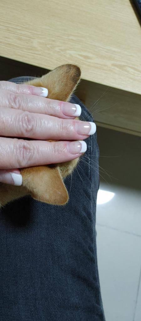 בציפורניים שלופות בציפורניים שלופות