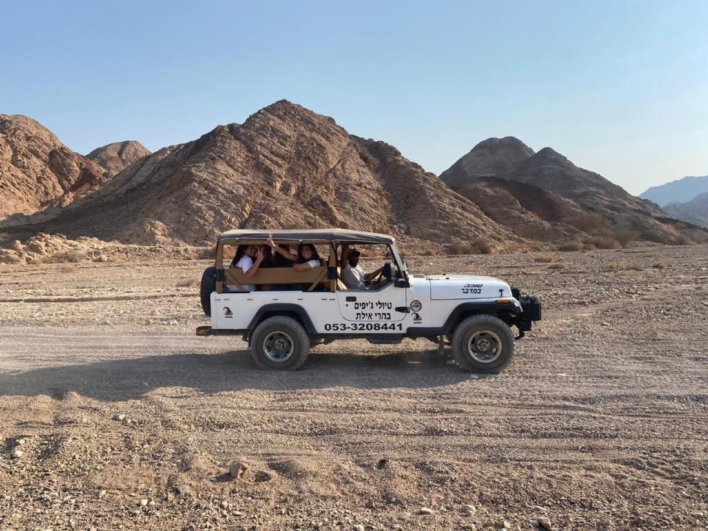 סופה במדבר סופה במדבר