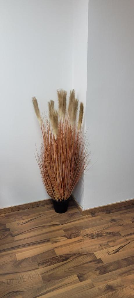 משרד עורכי דין DA Law4U משרד עורכי דין DA Law4U