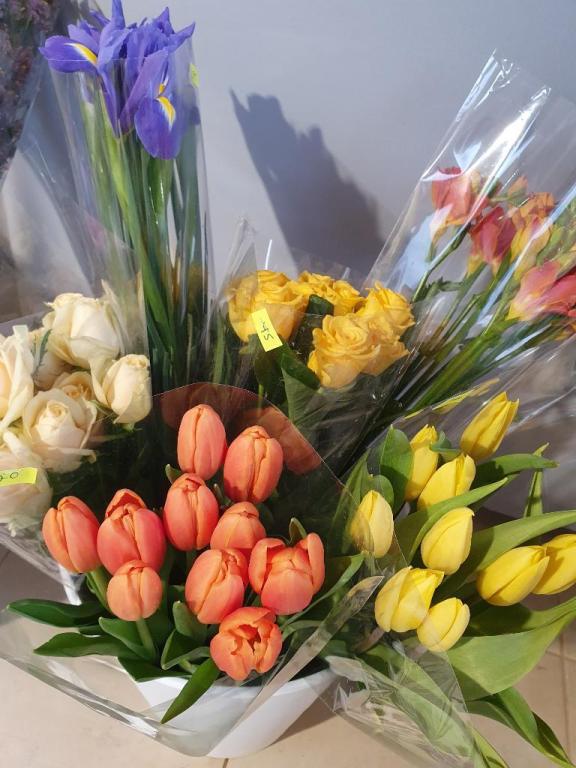 פרחים אצל איילת פרחים אצל איילת