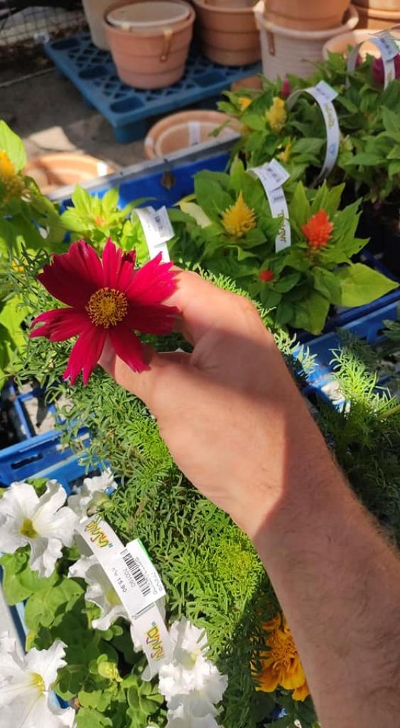 גולדמן ניהול ואחזקה גולדמן ניהול ואחזקה