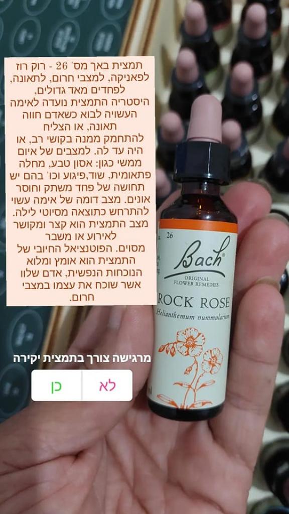 לאורה הייאן לאורה הייאן