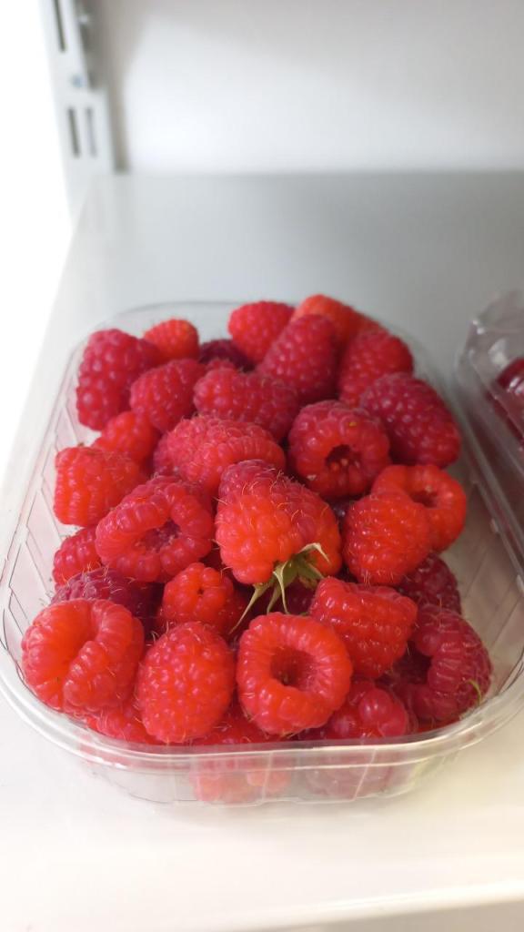 הקערה הקערה