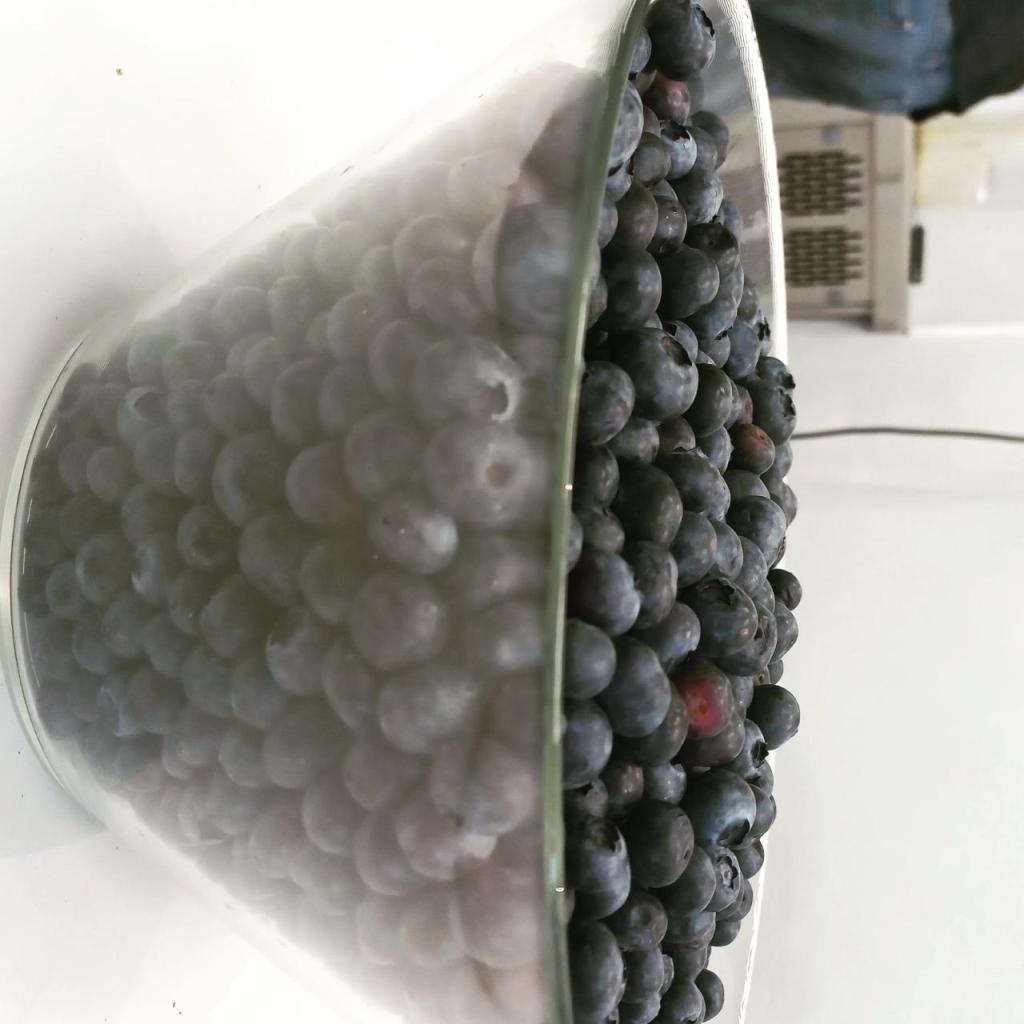 הקערה הקערה