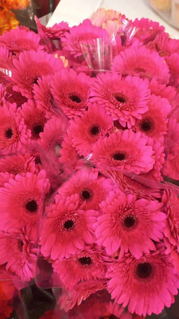 הקערה הקערה