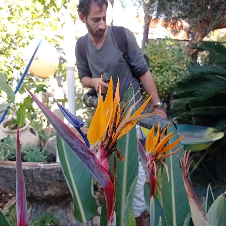 י. כלף גינון ופיתוח י. כלף גינון ופיתוח