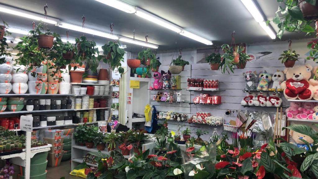 משתלת אביטל משתלת אביטל