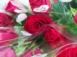 MA ROSE