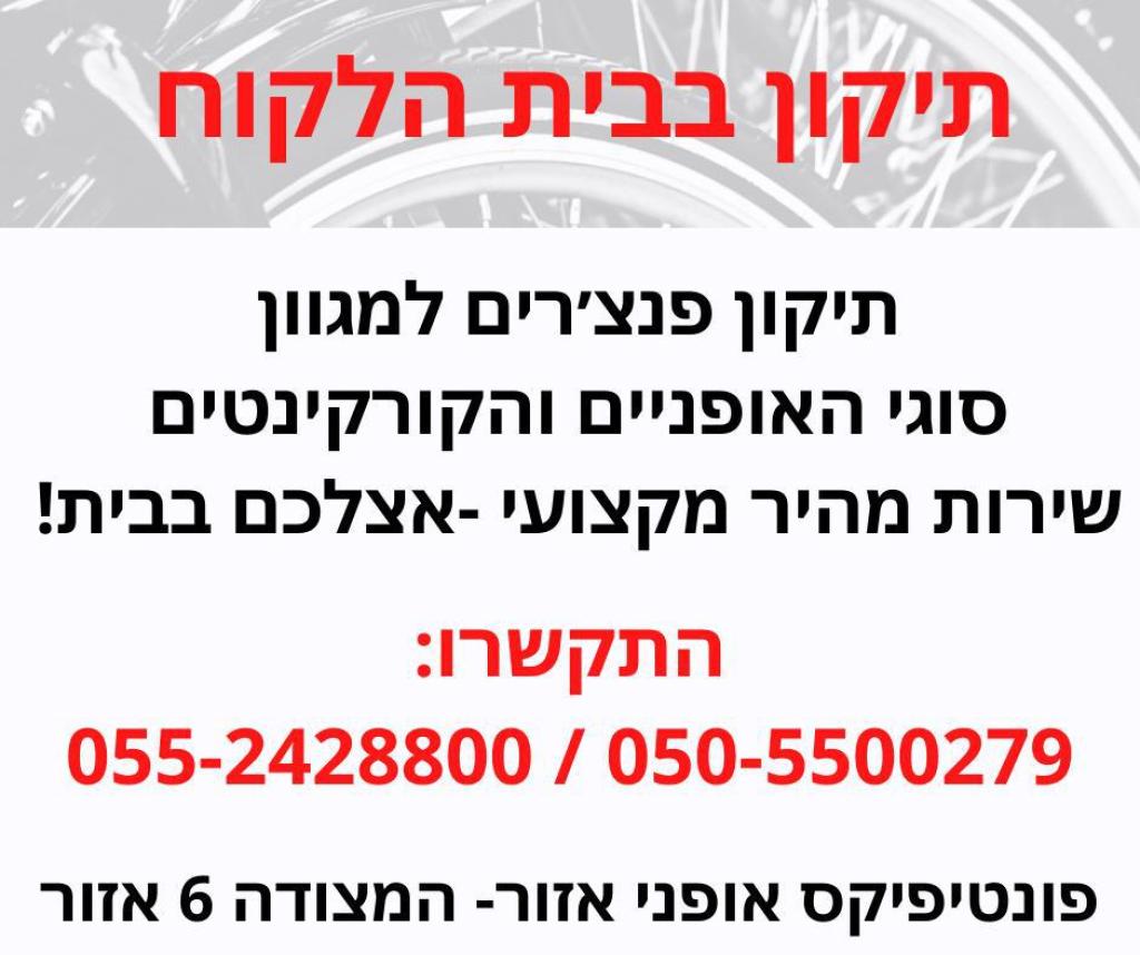 פונטיפיקס אופני אזור פונטיפיקס אופני אזור