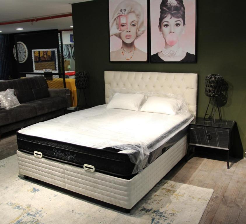 ולוצ'ה ולוצ'ה