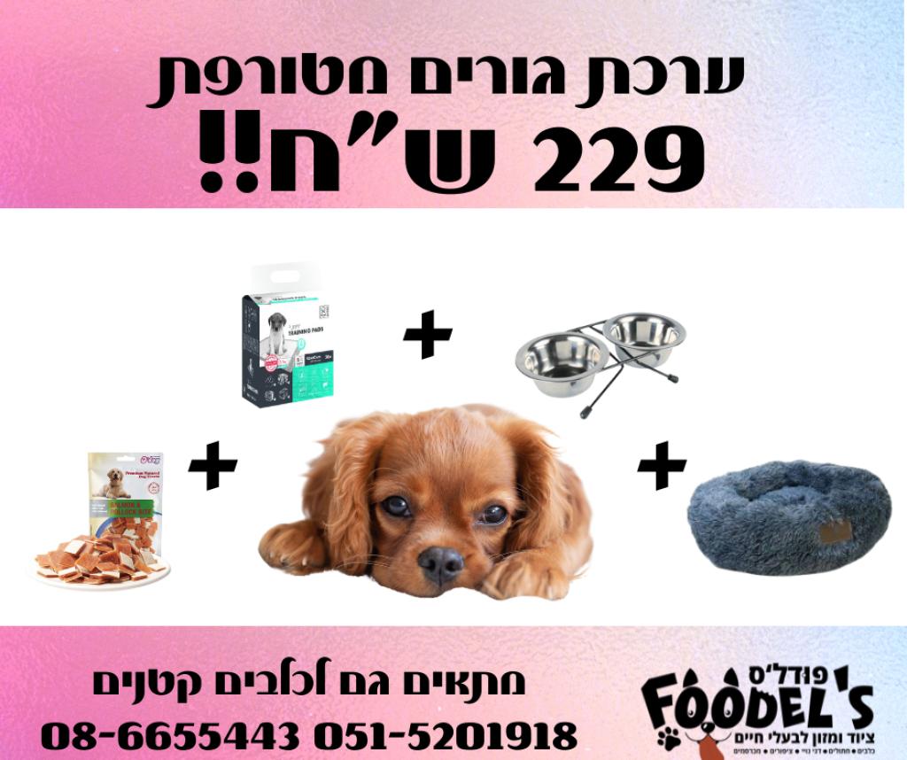 פודלס פודלס